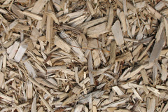 biomass boilers Salt Coates