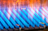 Salt Coates gas fired boilers